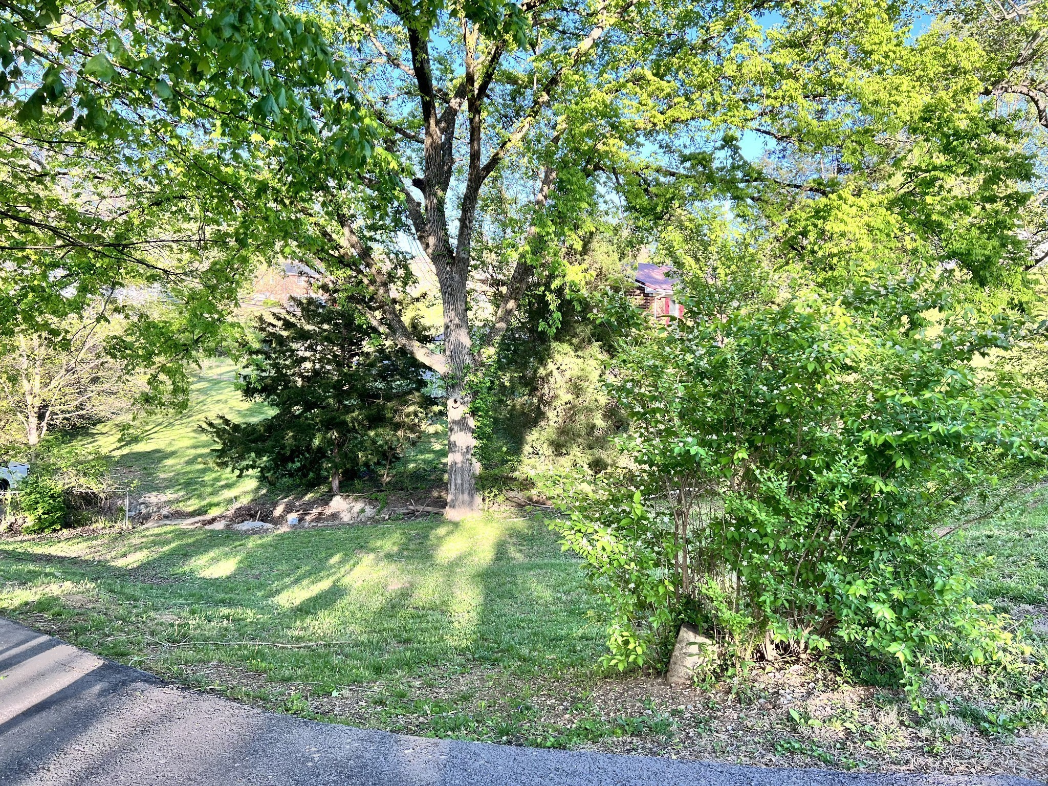 323 Clearview Drive Clarksville TN 37043