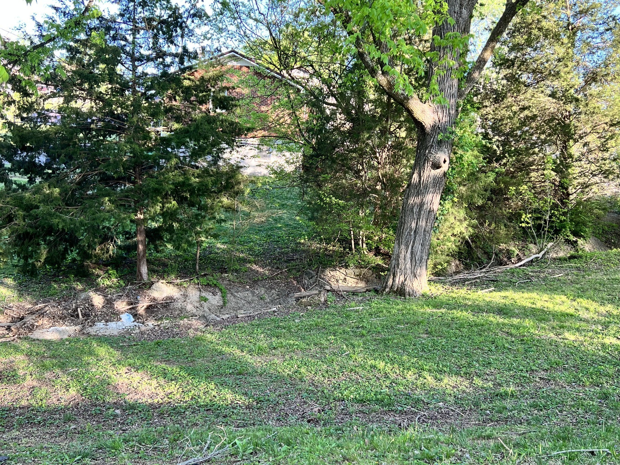 323 Clearview Drive Clarksville TN 37043