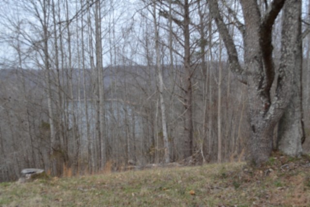 0 Fox Hill Road Baxter TN 38544