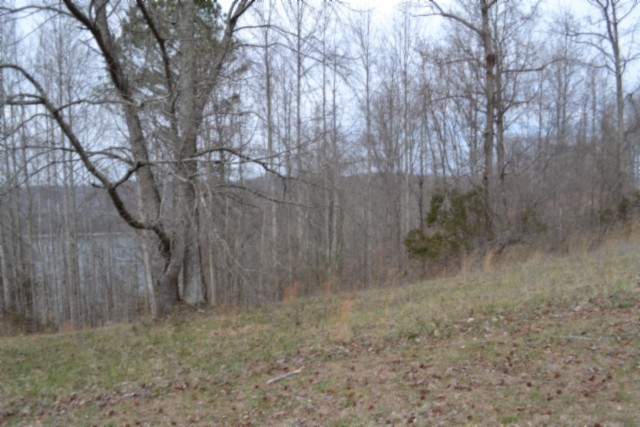 0 Fox Hill Road Baxter TN 38544