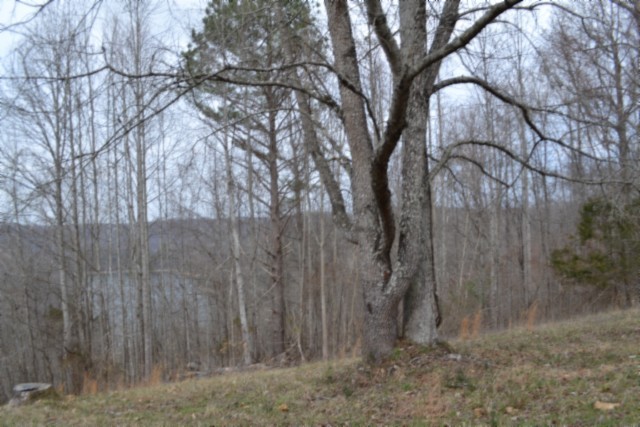 0 Fox Hill Road Baxter TN 38544