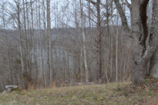 0 Fox Hill Road Baxter TN 38544