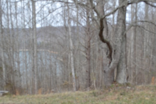 0 Fox Hill Road Baxter TN 38544