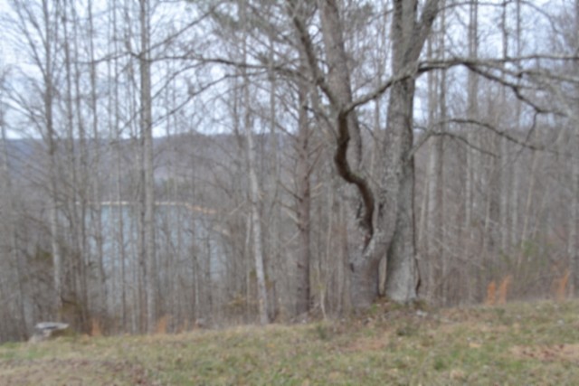0 Fox Hill Road Baxter TN 38544