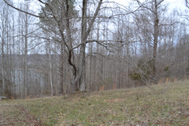 0 Fox Hill Road Baxter TN 38544
