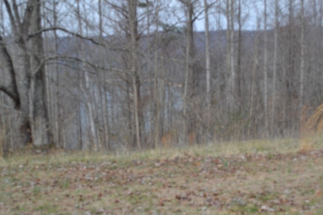 0 Fox Hill Road Baxter TN 38544
