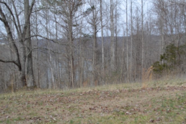 0 Fox Hill Road Baxter TN 38544