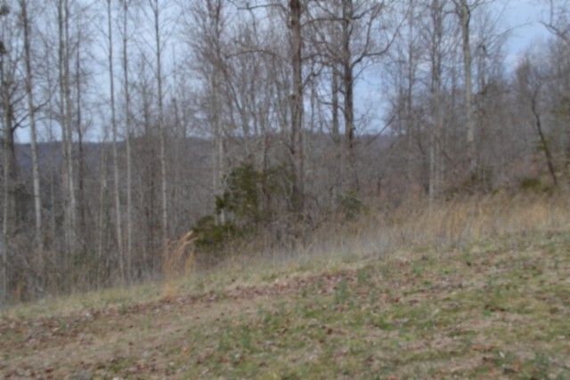 0 Fox Hill Road Baxter TN 38544