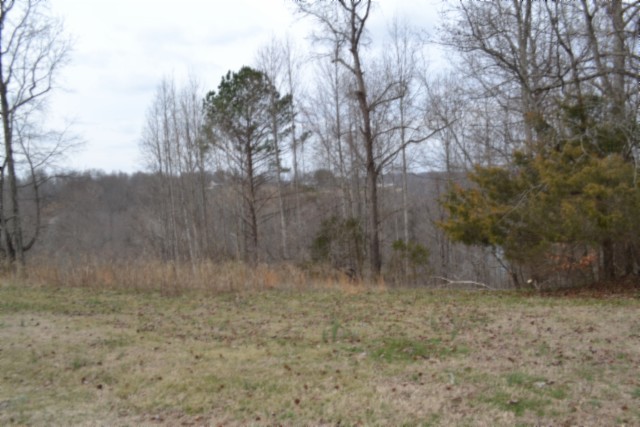 0 Fox Hill Road Baxter TN 38544