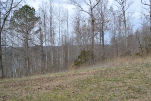 0 Fox Hill Road Baxter TN 38544