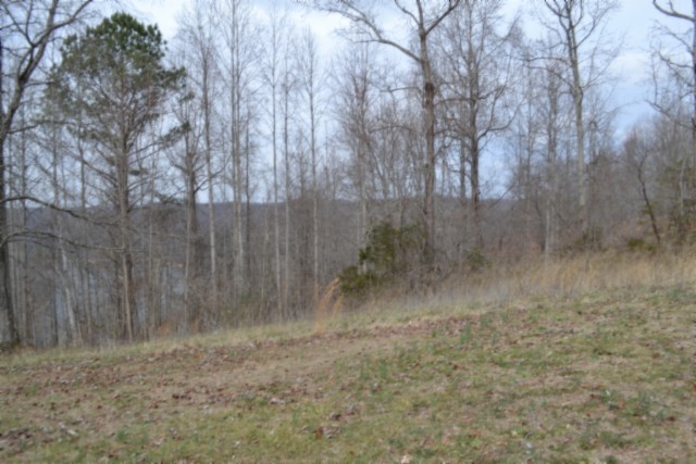 0 Fox Hill Road Baxter TN 38544