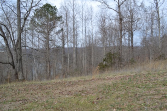 0 Fox Hill Road Baxter TN 38544