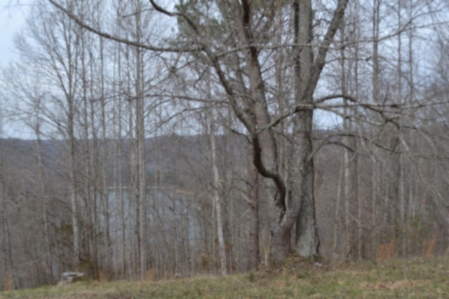 0 Fox Hill Road Baxter TN 38544