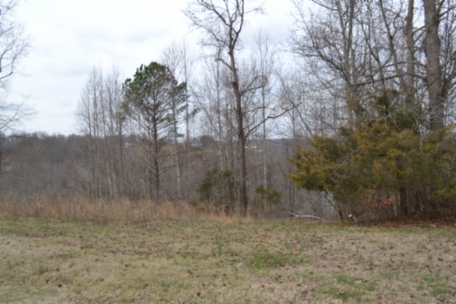 0 Fox Hill Road Baxter TN 38544