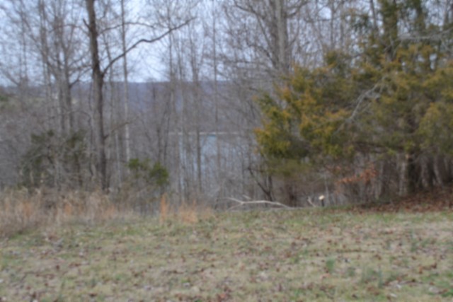0 Fox Hill Road Baxter TN 38544
