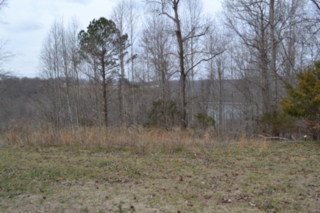 0 Fox Hill Road Baxter TN 38544