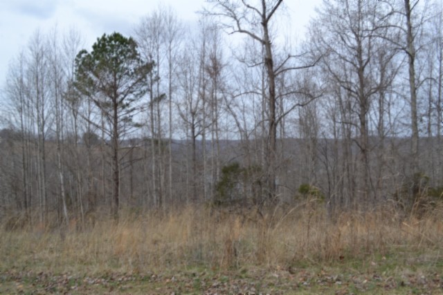 0 Fox Hill Road Baxter TN 38544