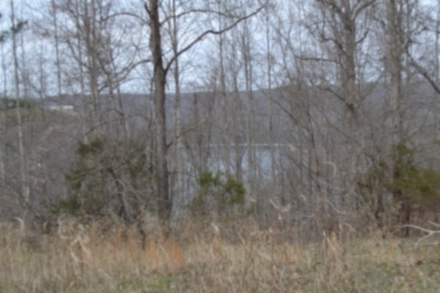 0 Fox Hill Road Baxter TN 38544