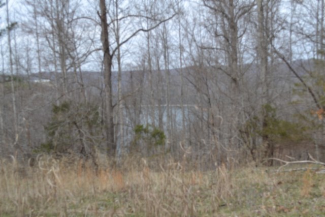 0 Fox Hill Road Baxter TN 38544