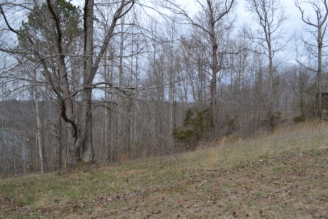0 Fox Hill Road Baxter TN 38544
