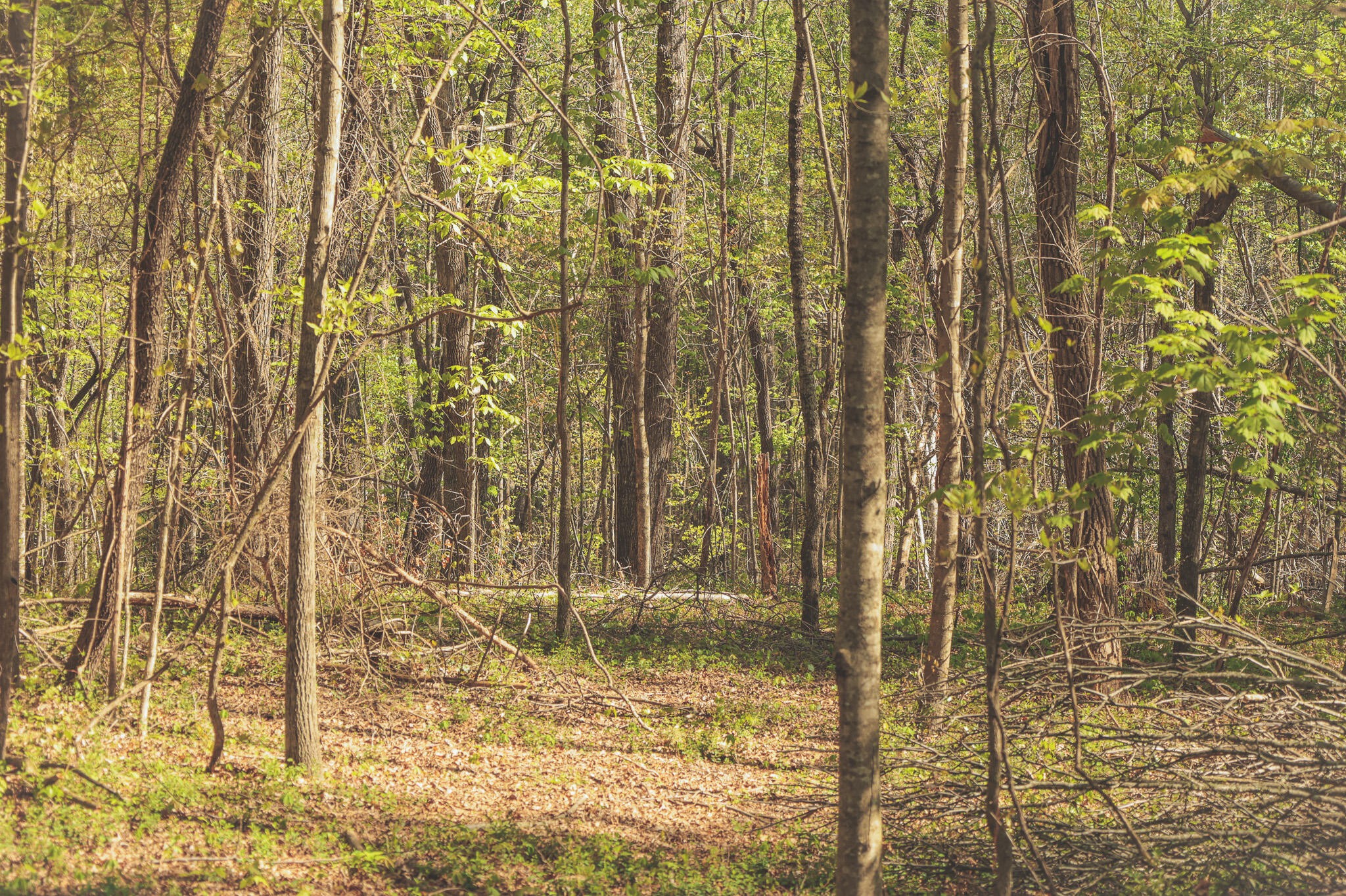 0 Howard Huttsell Lane Spring City TN 37381