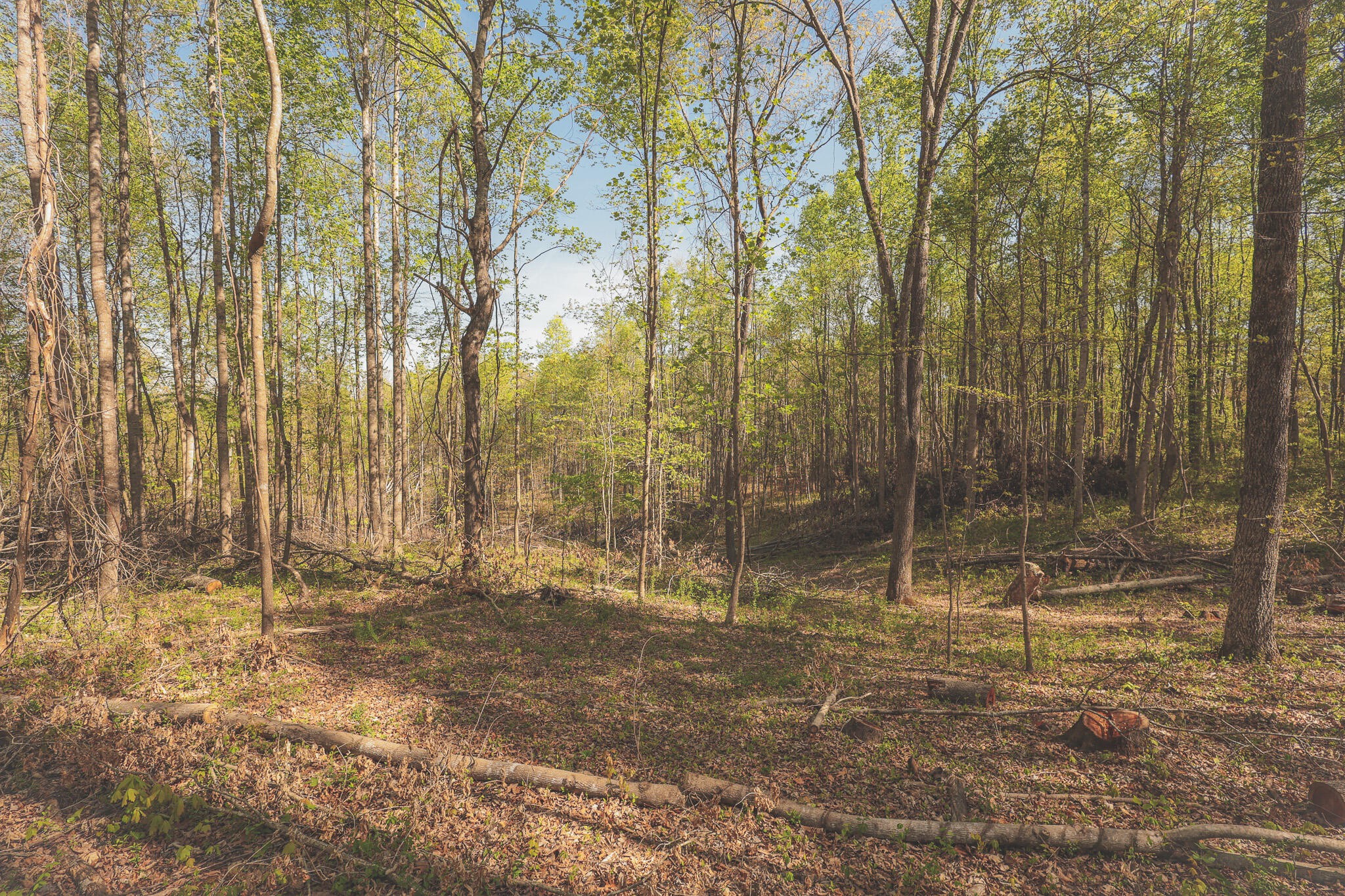 0 Howard Huttsell Lane Spring City TN 37381