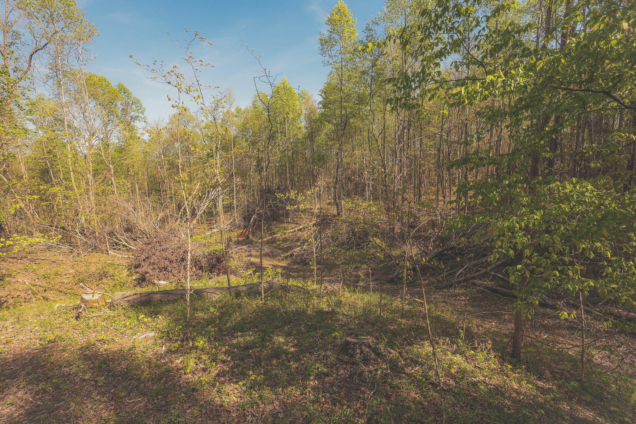 0 Howard Huttsell Lane Spring City TN 37381