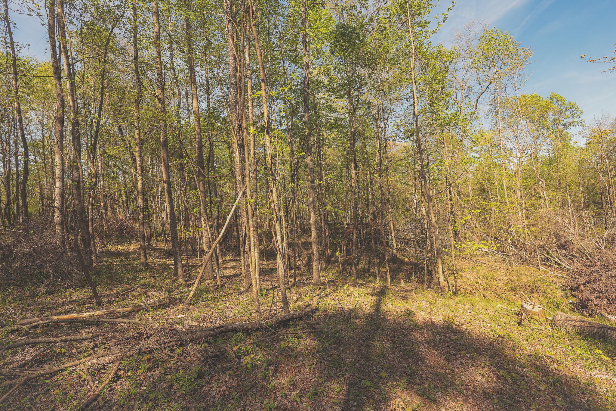 0 Howard Huttsell Lane Spring City TN 37381