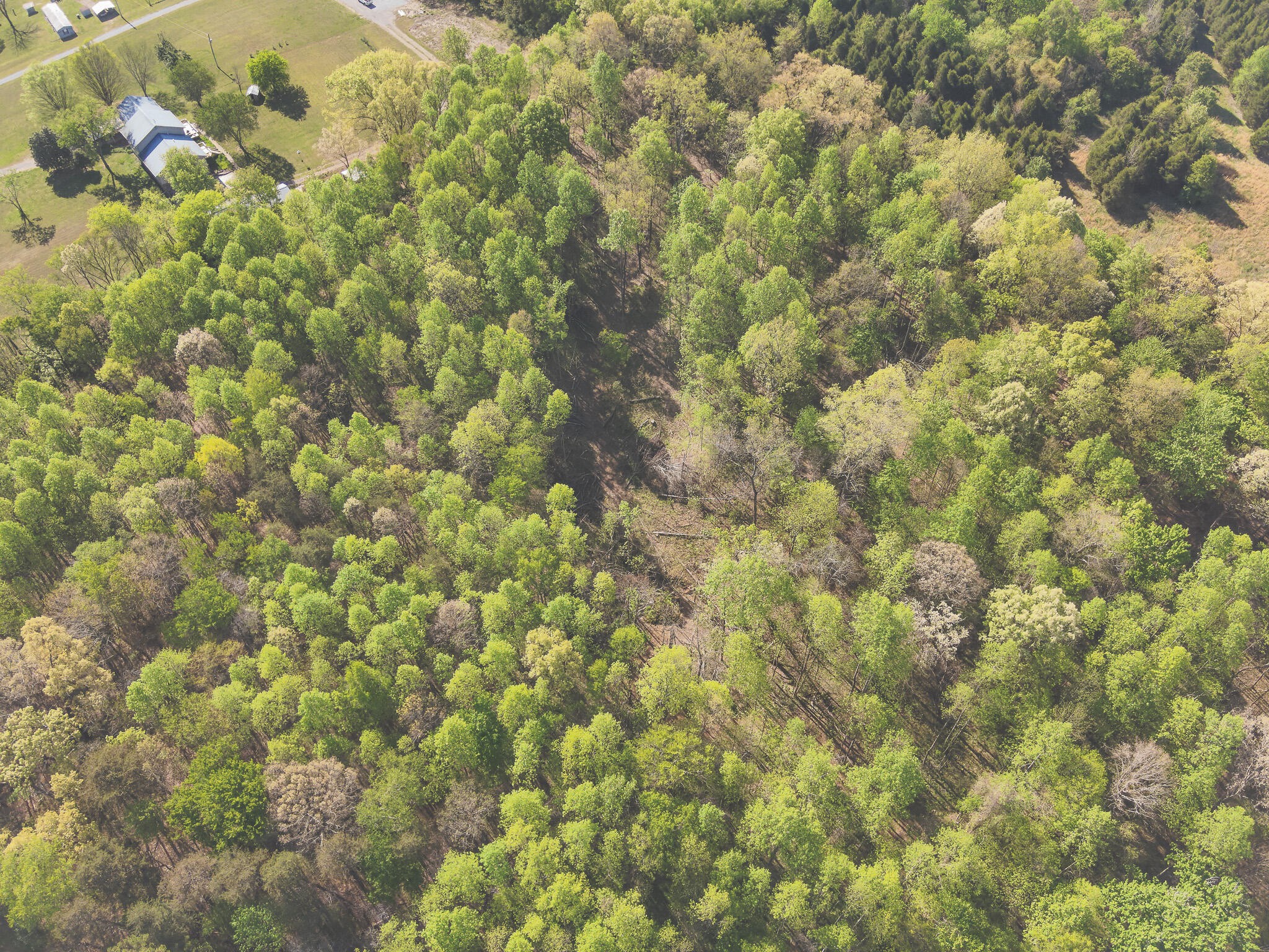 0 Howard Huttsell Lane Spring City TN 37381