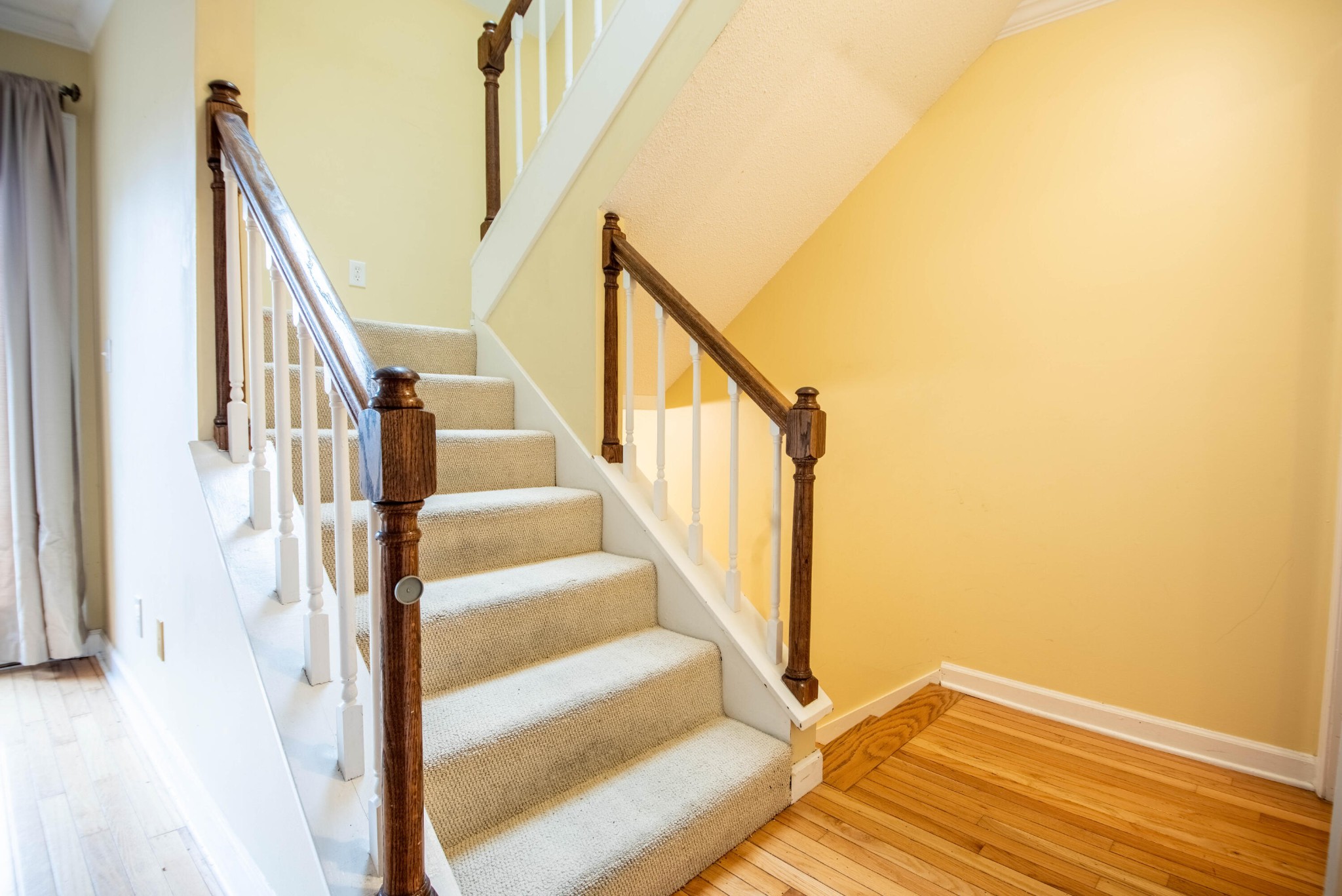 527 Winterview Lane Chattanooga TN 37409
