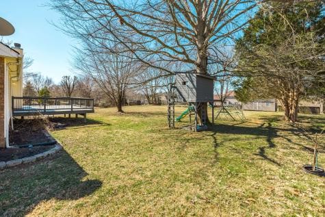 1133 Adam Drive Cottontown TN 37048