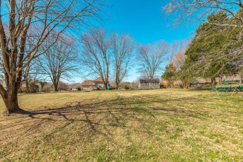 1133 Adam Drive Cottontown TN 37048