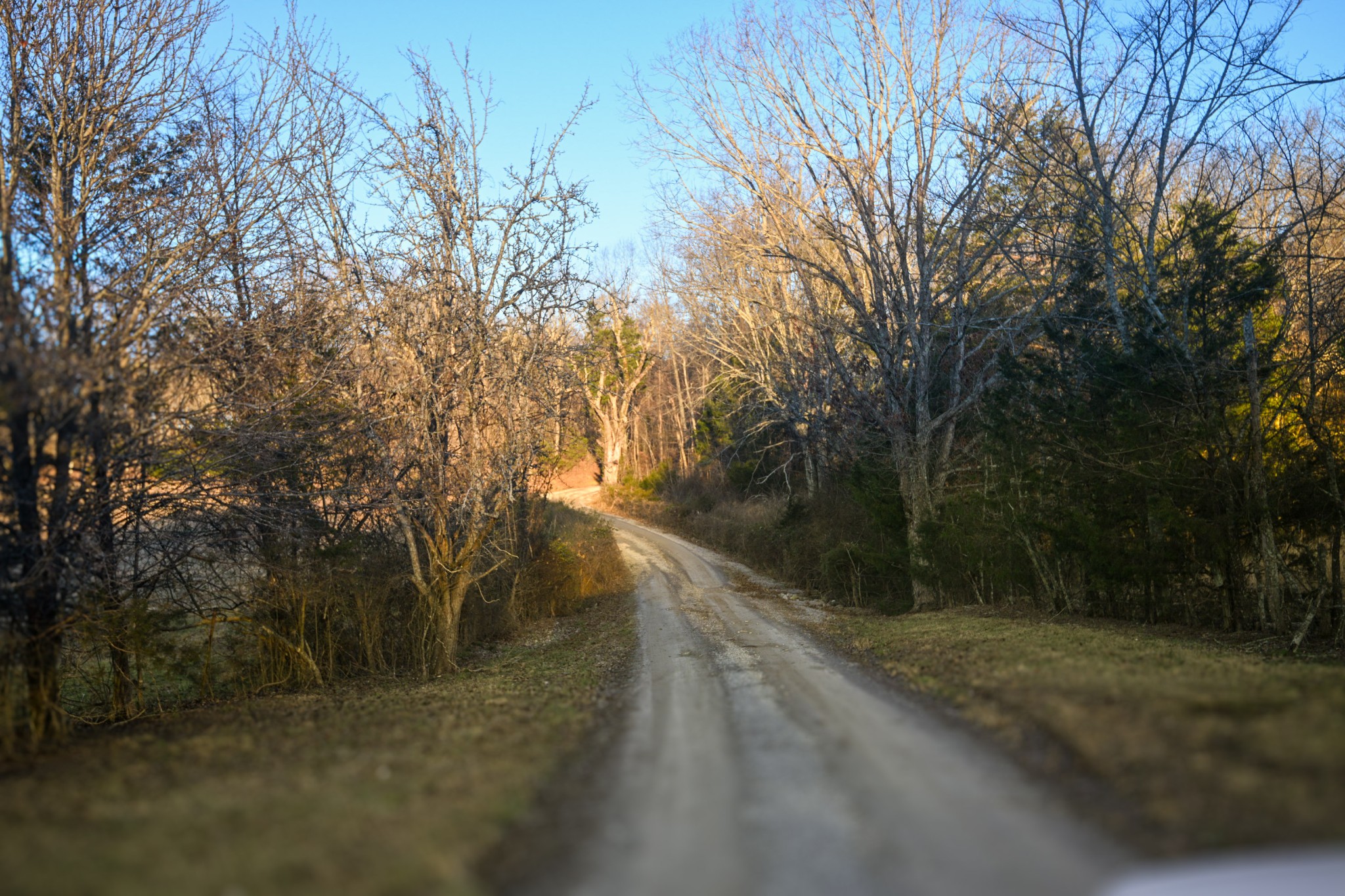 199 Morris Lane Wartrace TN 37183