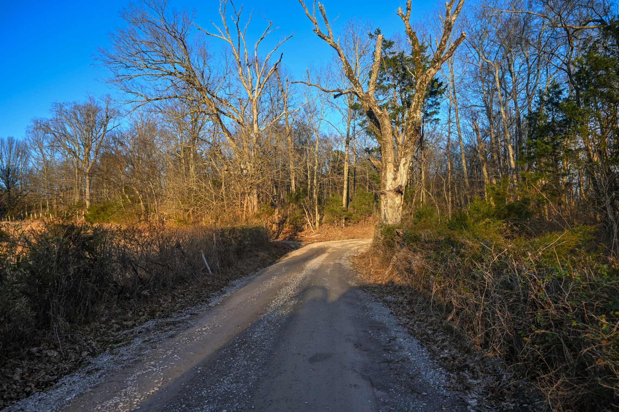 199 Morris Lane Wartrace TN 37183