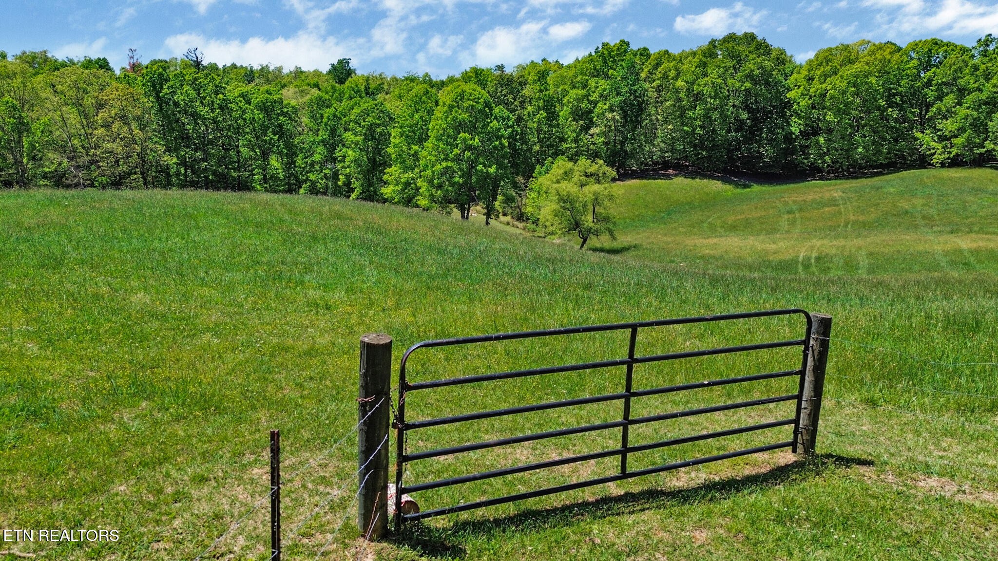 0 Panther Branch Road Jamestown TN 38556