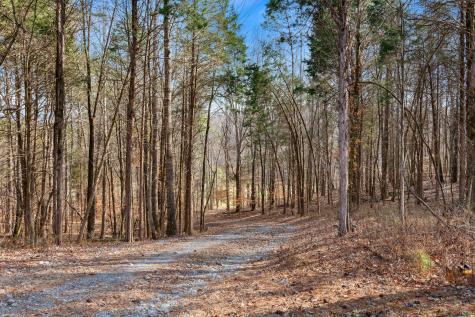 1425 Old Stage Road Charlotte TN 37036