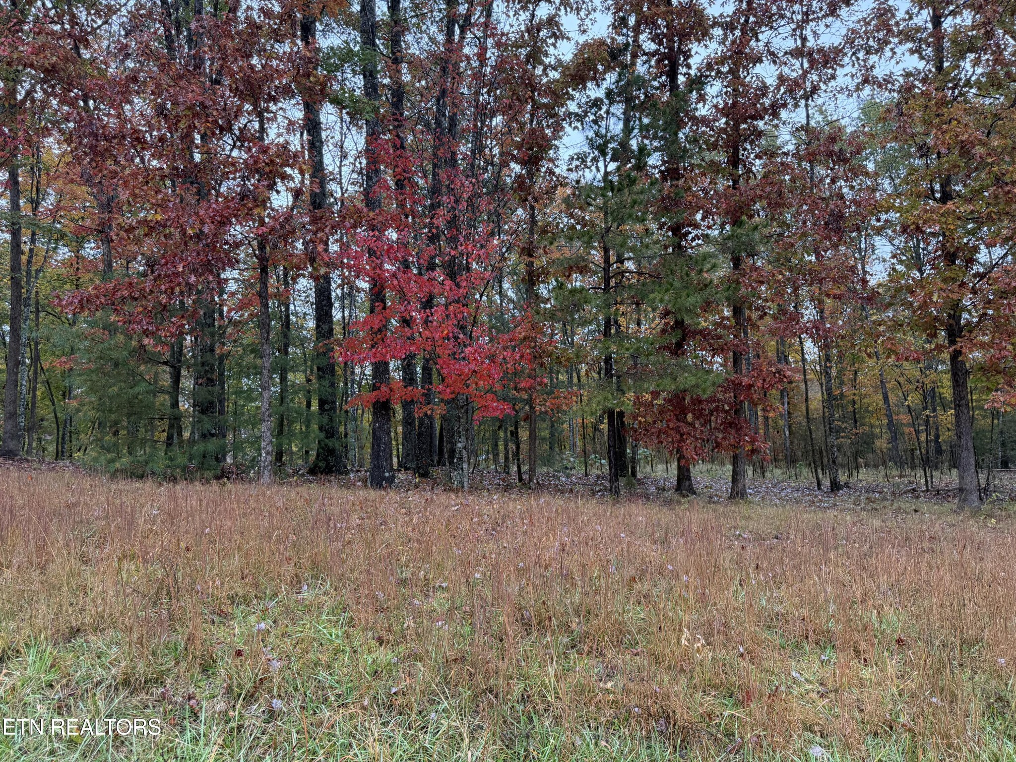 0 Eagle Bluff Jamestown TN 38556