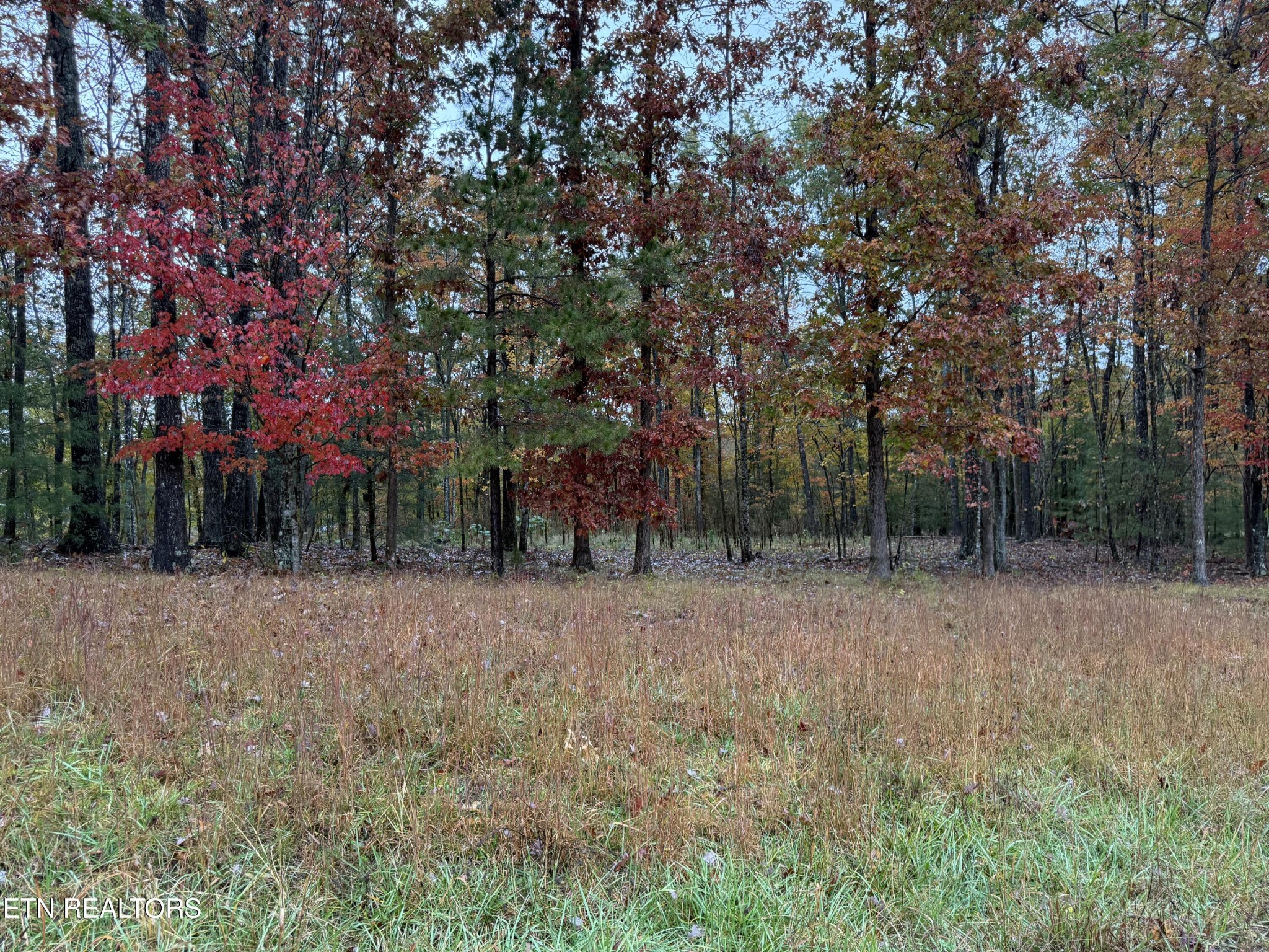 0 Eagle Bluff Jamestown TN 38556