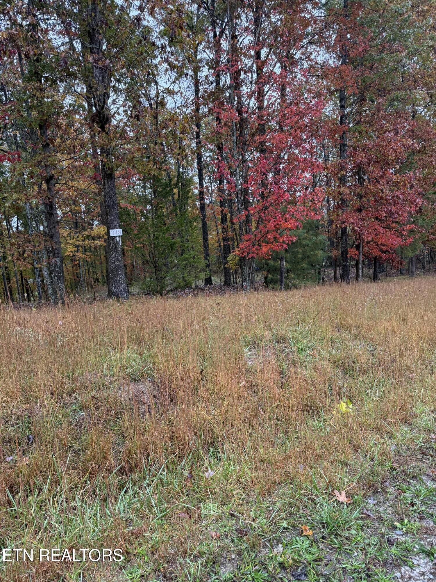 0 Eagle Bluff Jamestown TN 38556