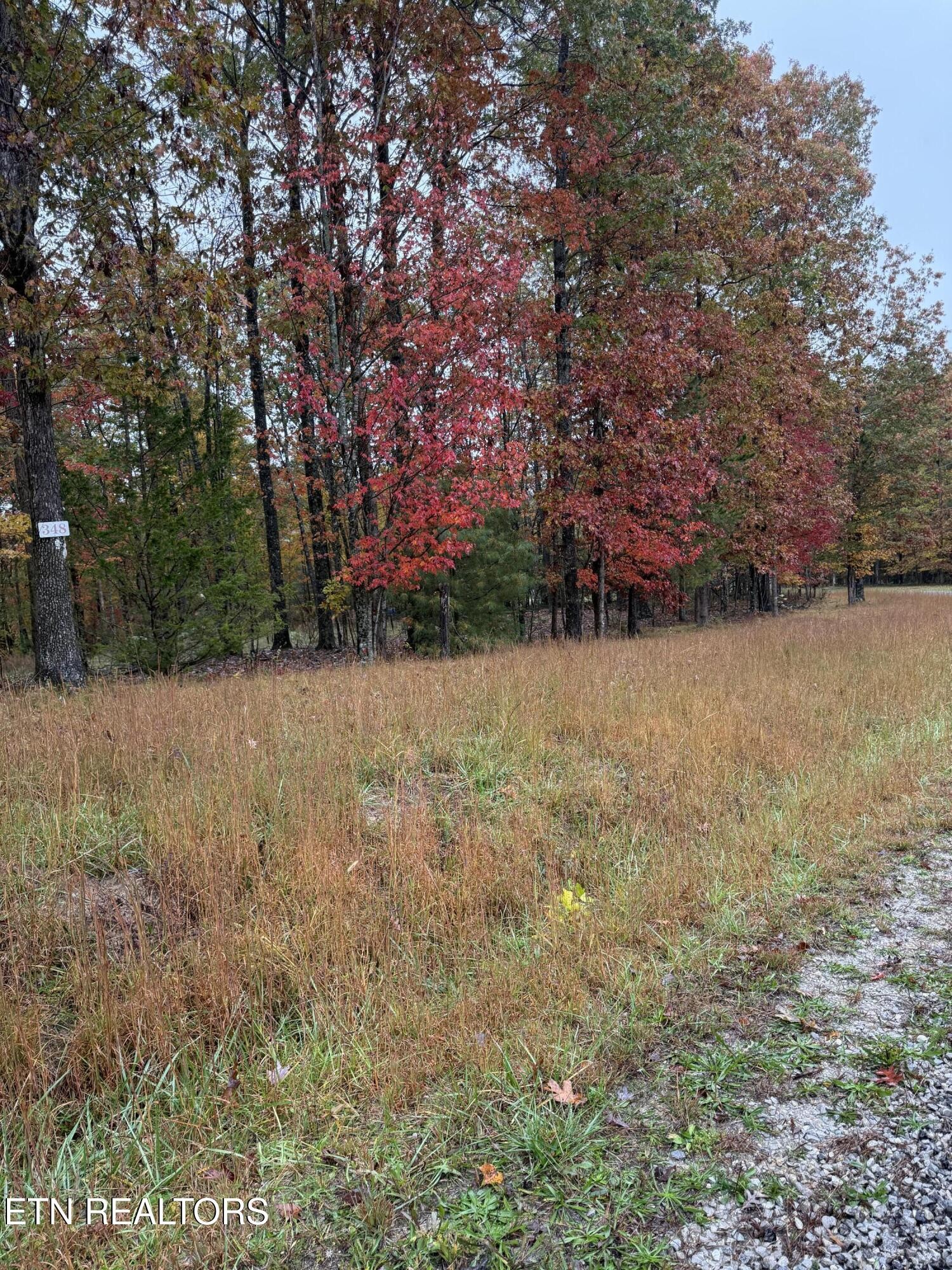 0 Eagle Bluff Jamestown TN 38556