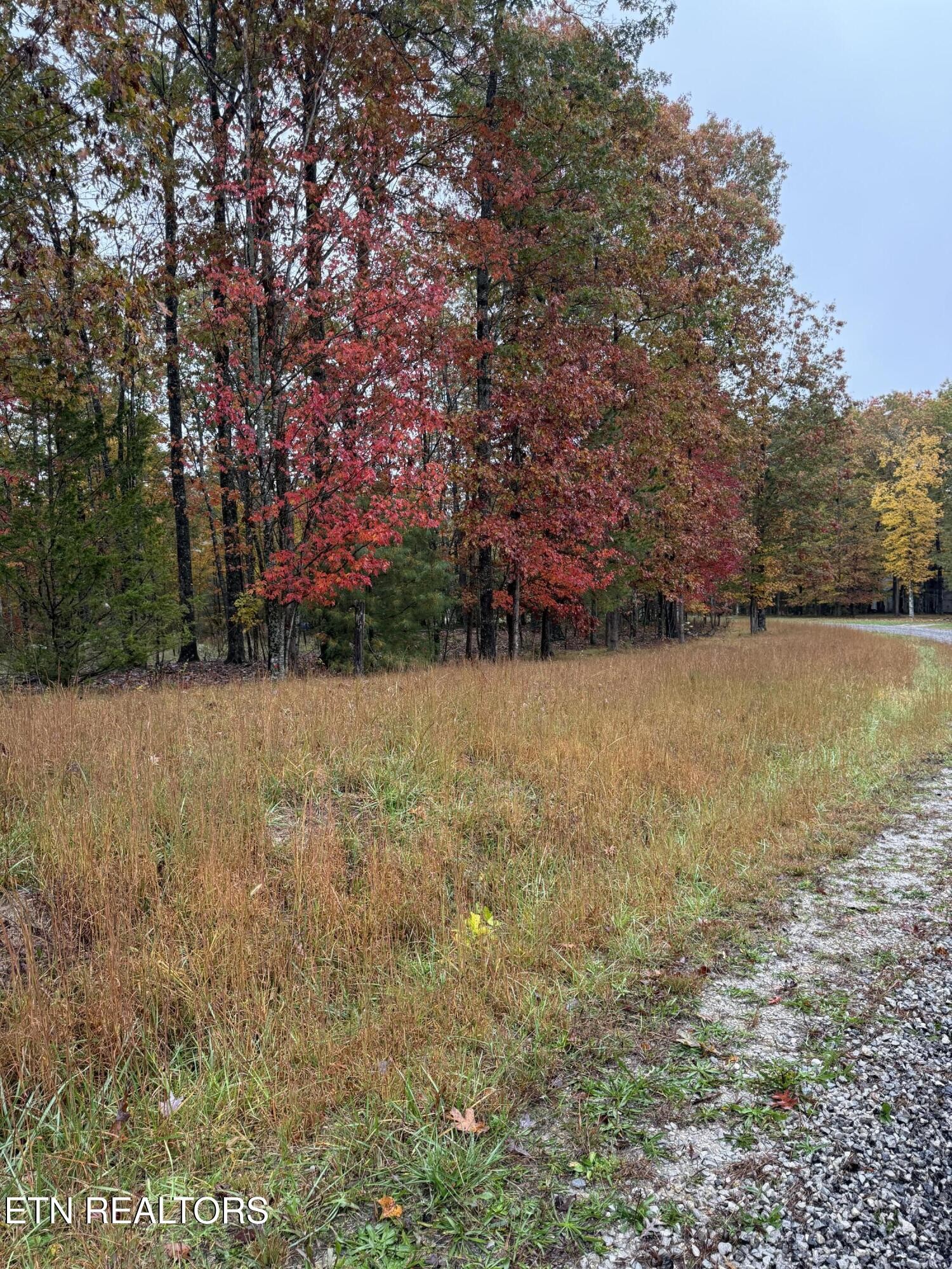 0 Eagle Bluff Jamestown TN 38556