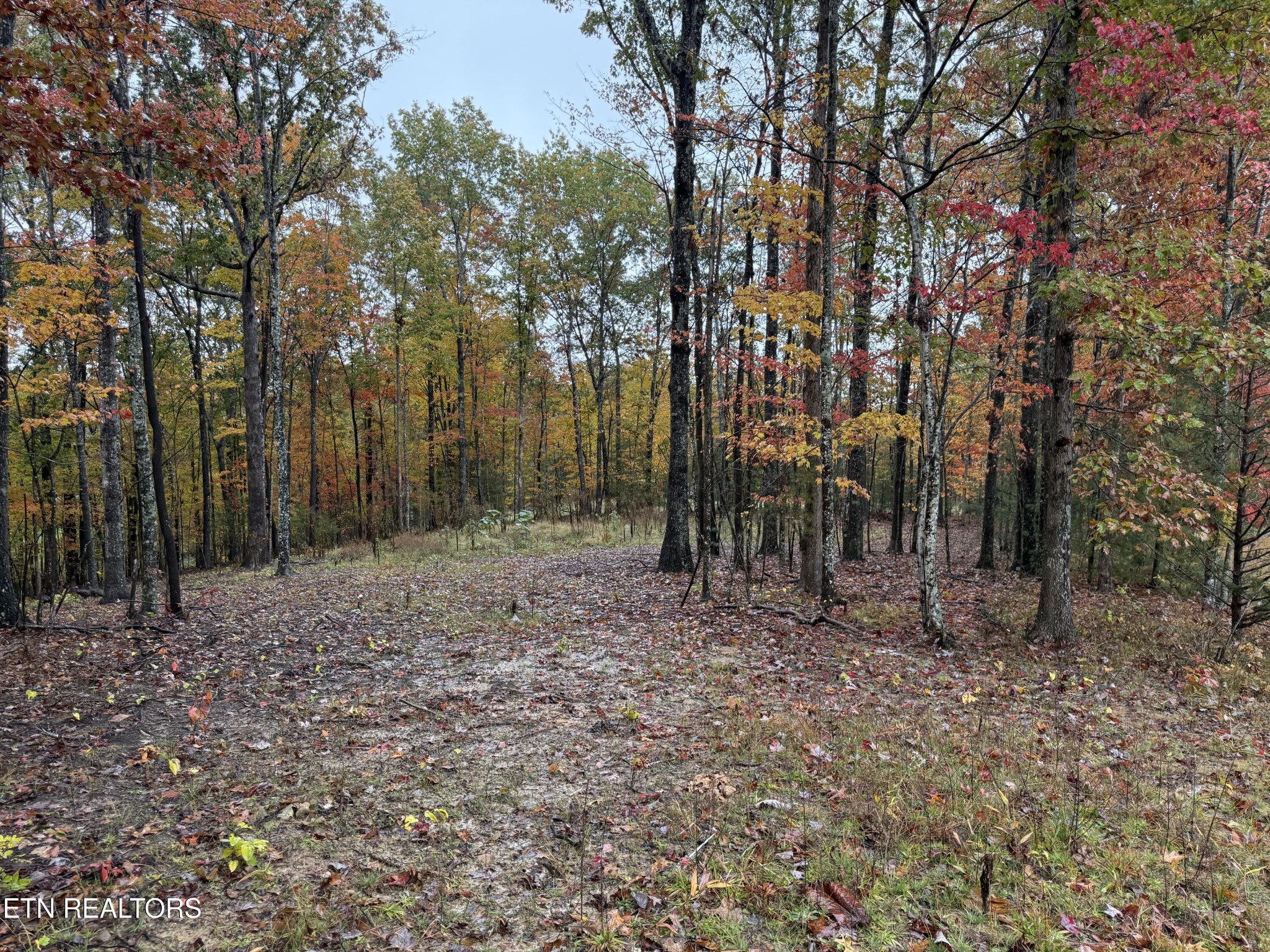 0 Eagle Bluff Jamestown TN 38556