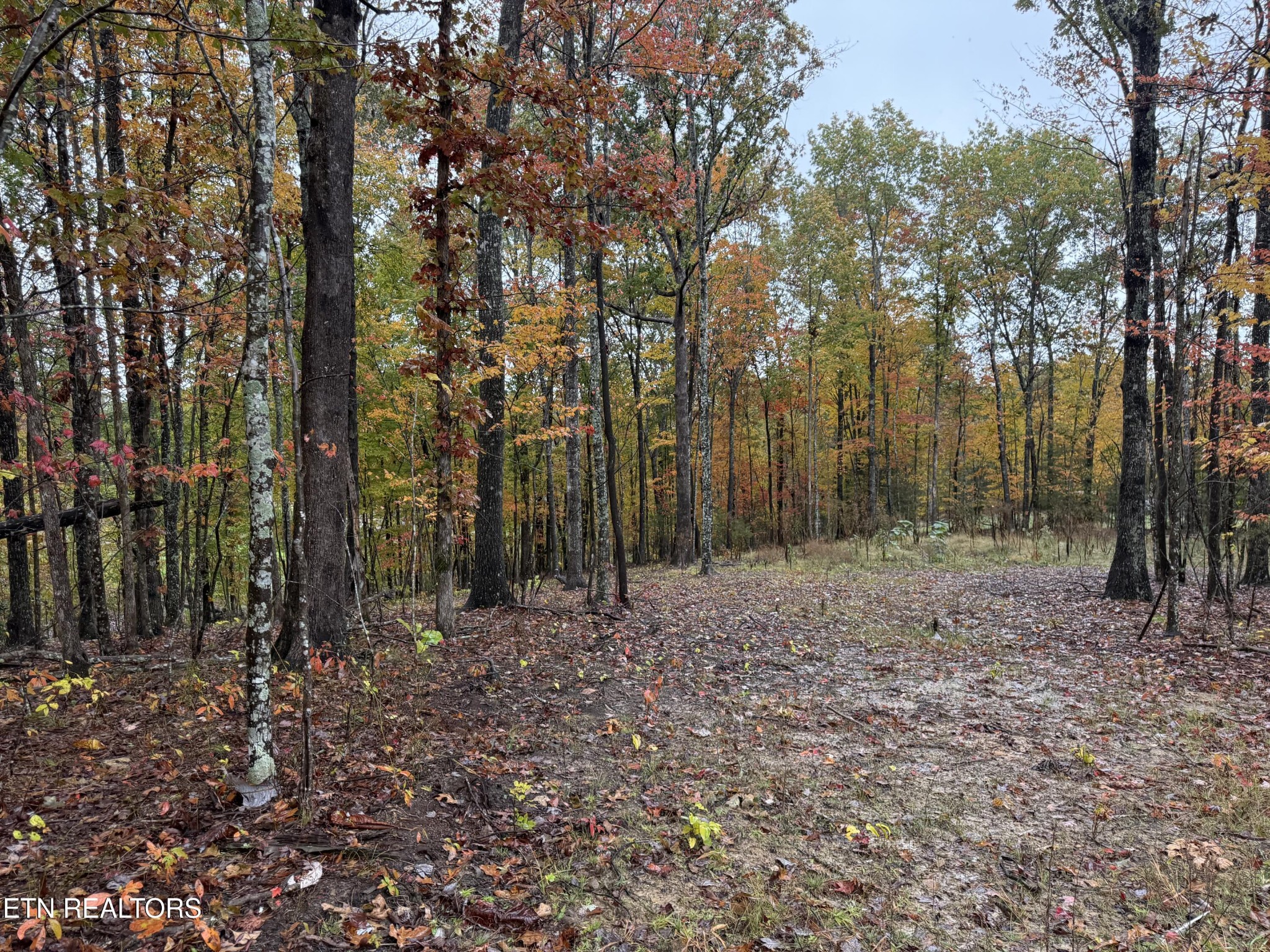 0 Eagle Bluff Jamestown TN 38556