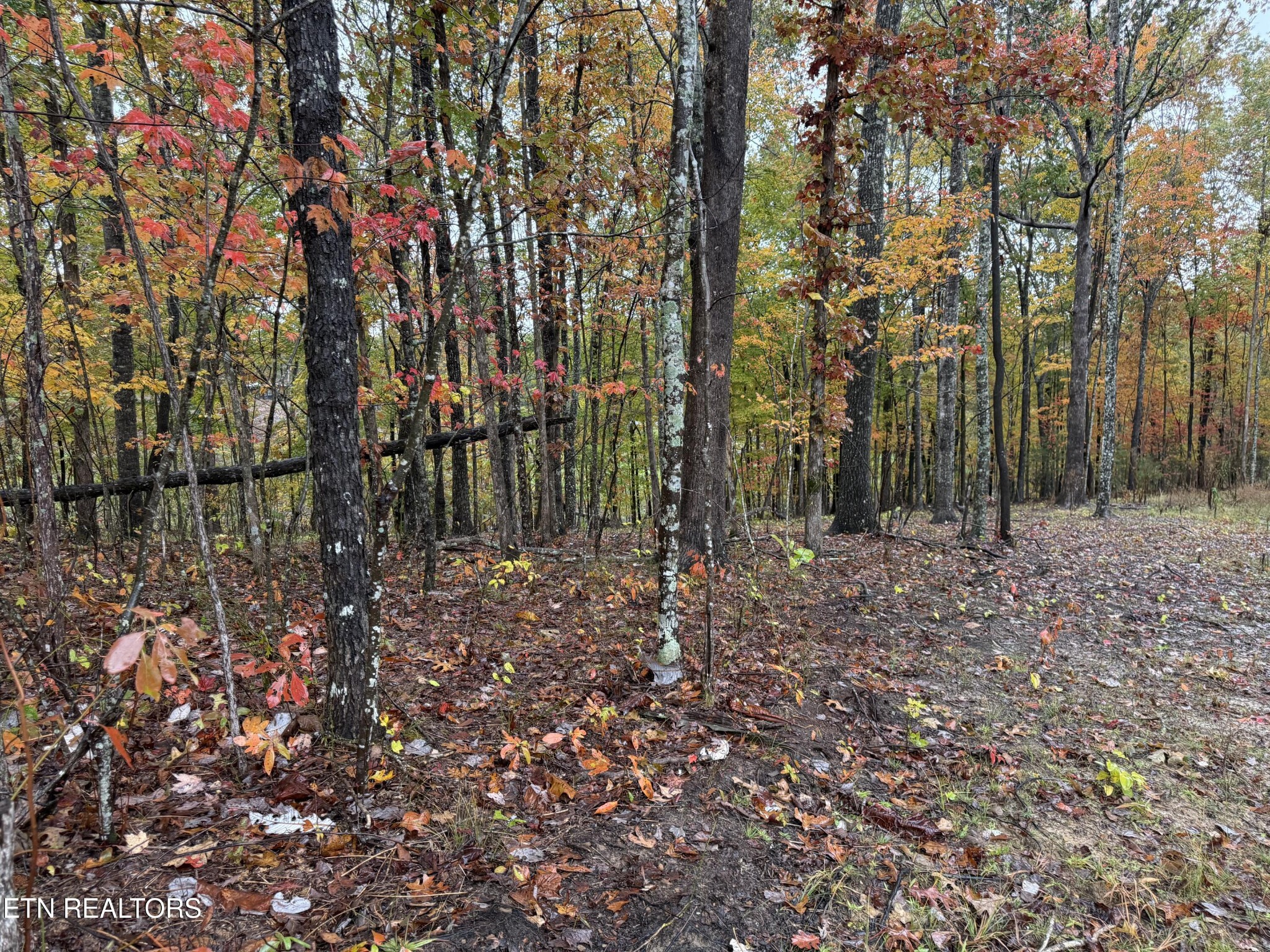 0 Eagle Bluff Jamestown TN 38556