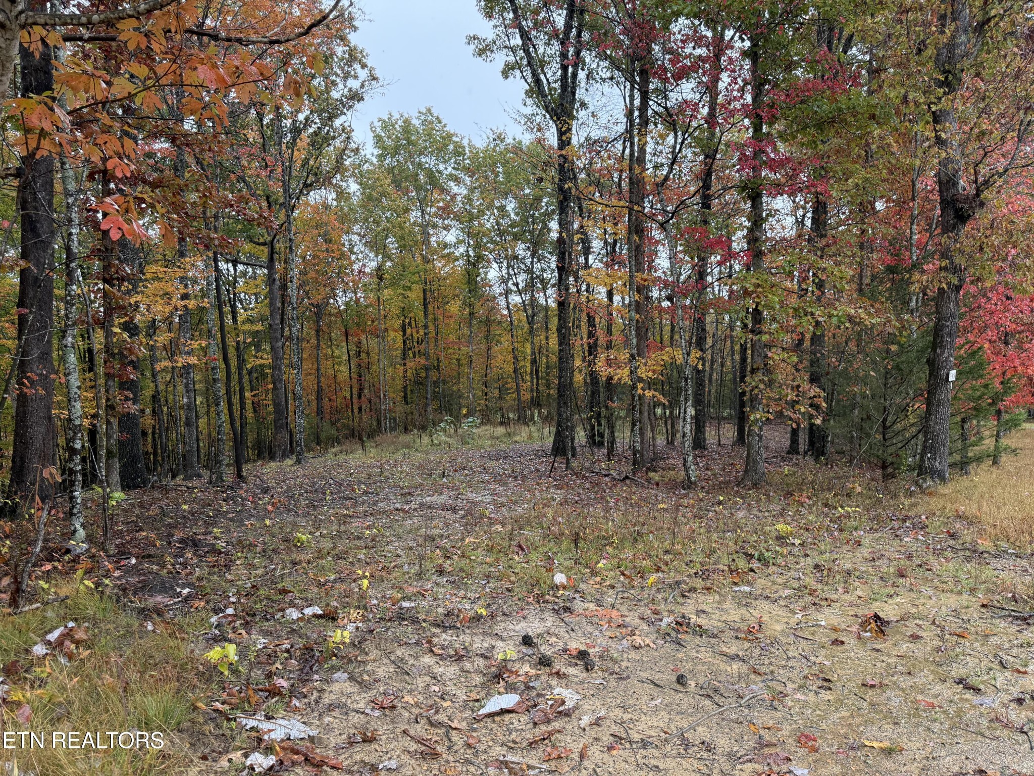 0 Eagle Bluff Jamestown TN 38556