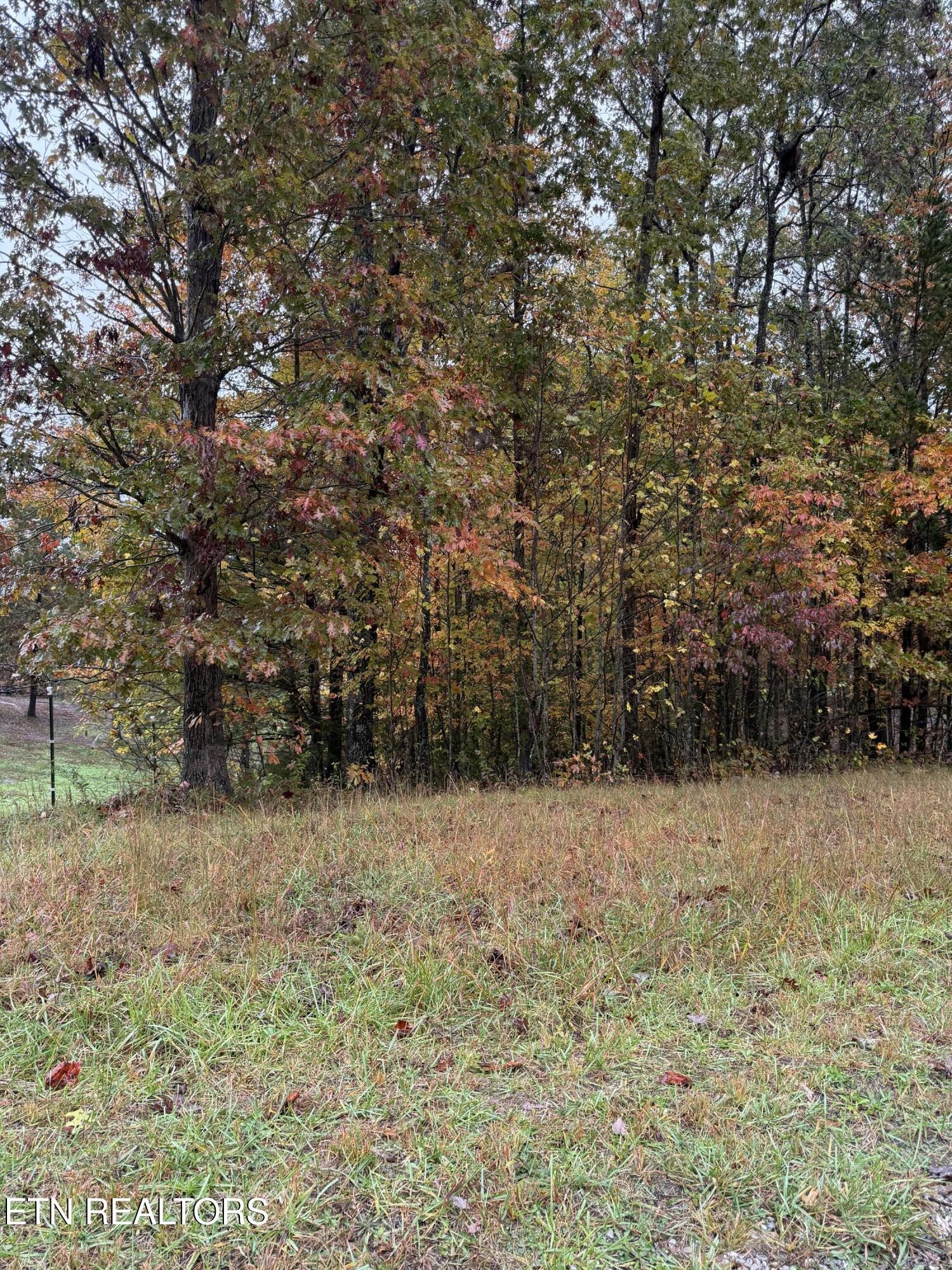 0 Eagle Bluff Jamestown TN 38556