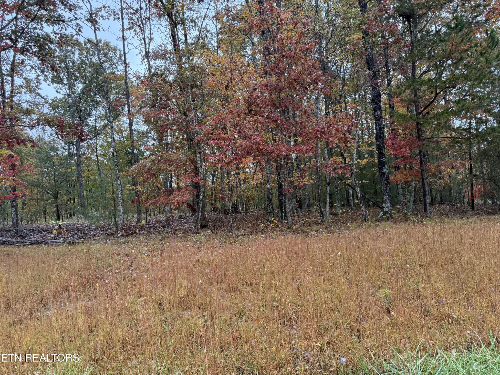 0 Eagle Bluff Jamestown TN 38556