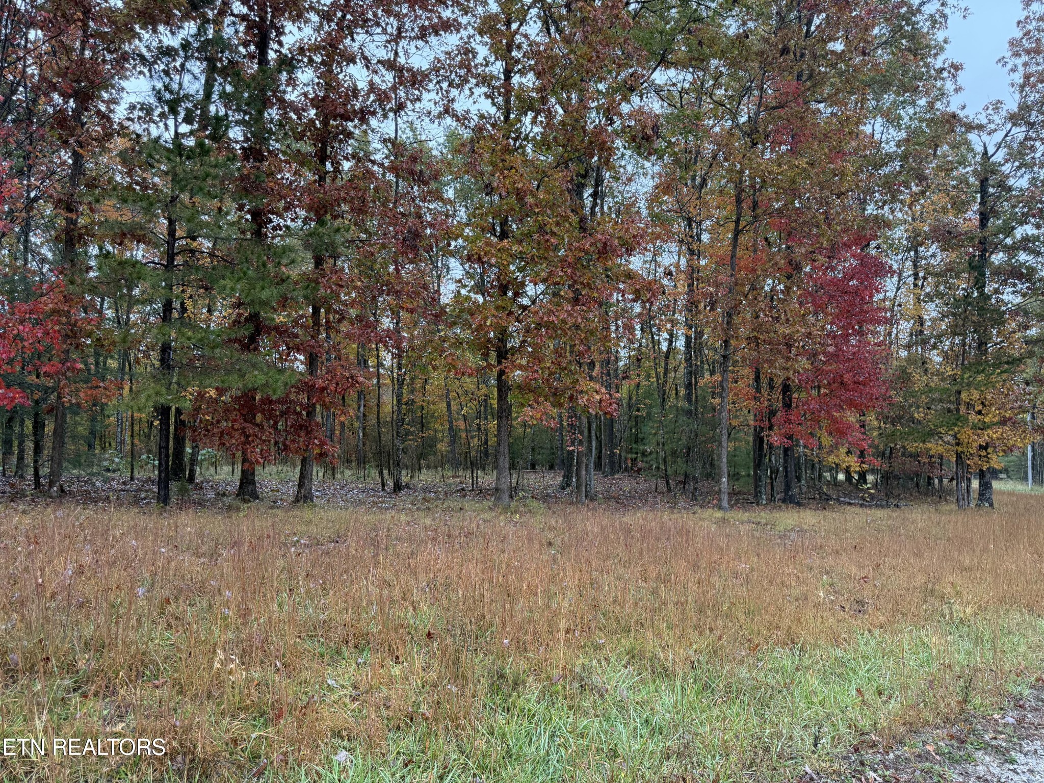 0 Eagle Bluff Jamestown TN 38556