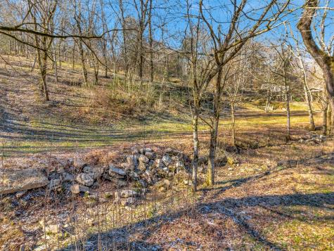 1919 Bartlett Hollow Road Petersburg TN 37144