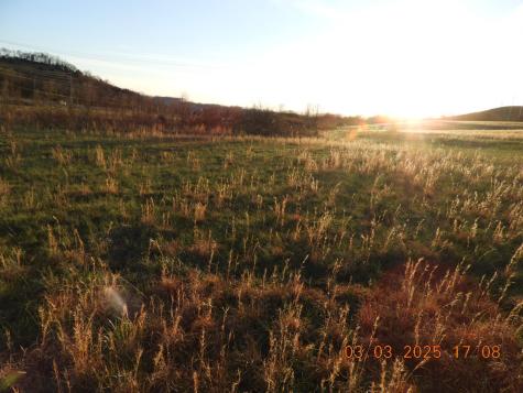 0 Pulaski Highway Frankewing TN 38459